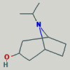 8-(propan-2-yl)-8-azabicyclo[3.2.1]octan-3-ol